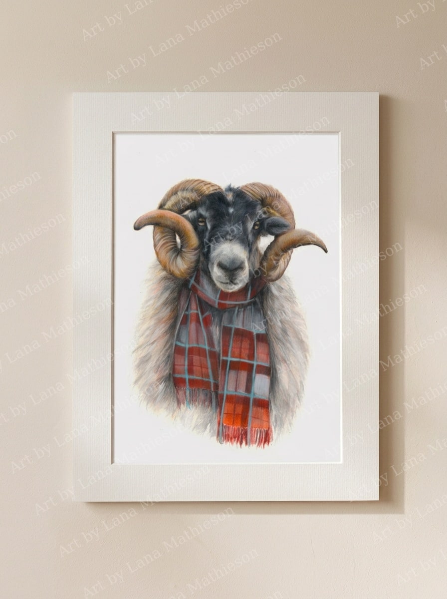 The Black Face Mackenzie design on a mounted fine art print.