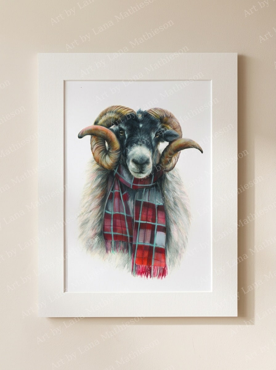 The Blackface Mackenzie design on a mounted fine art print.