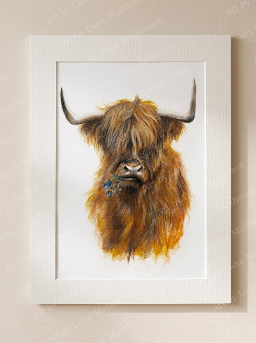 The Jaggy Thistle Coo design on a mounted fine art print.