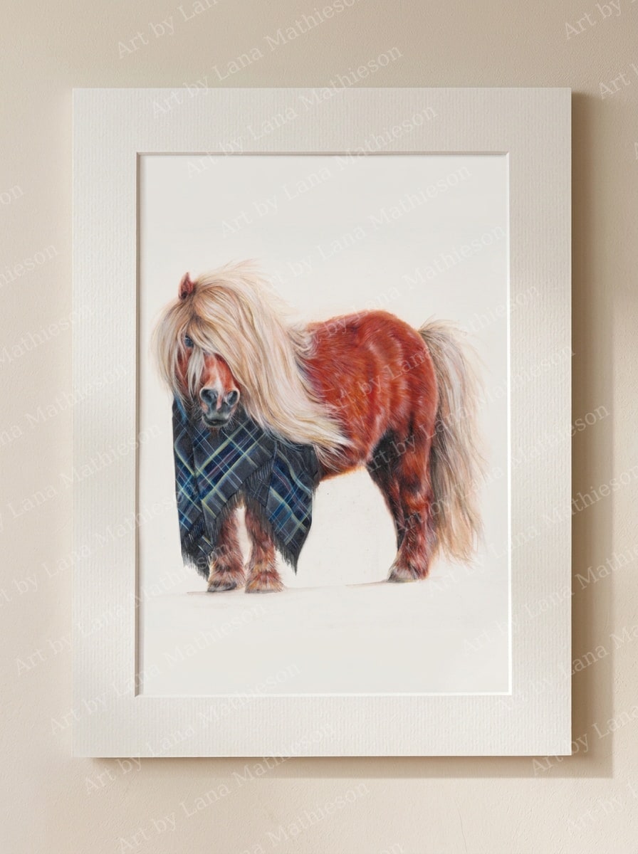 The Spirit of Shetland design on a mounted fine art print.