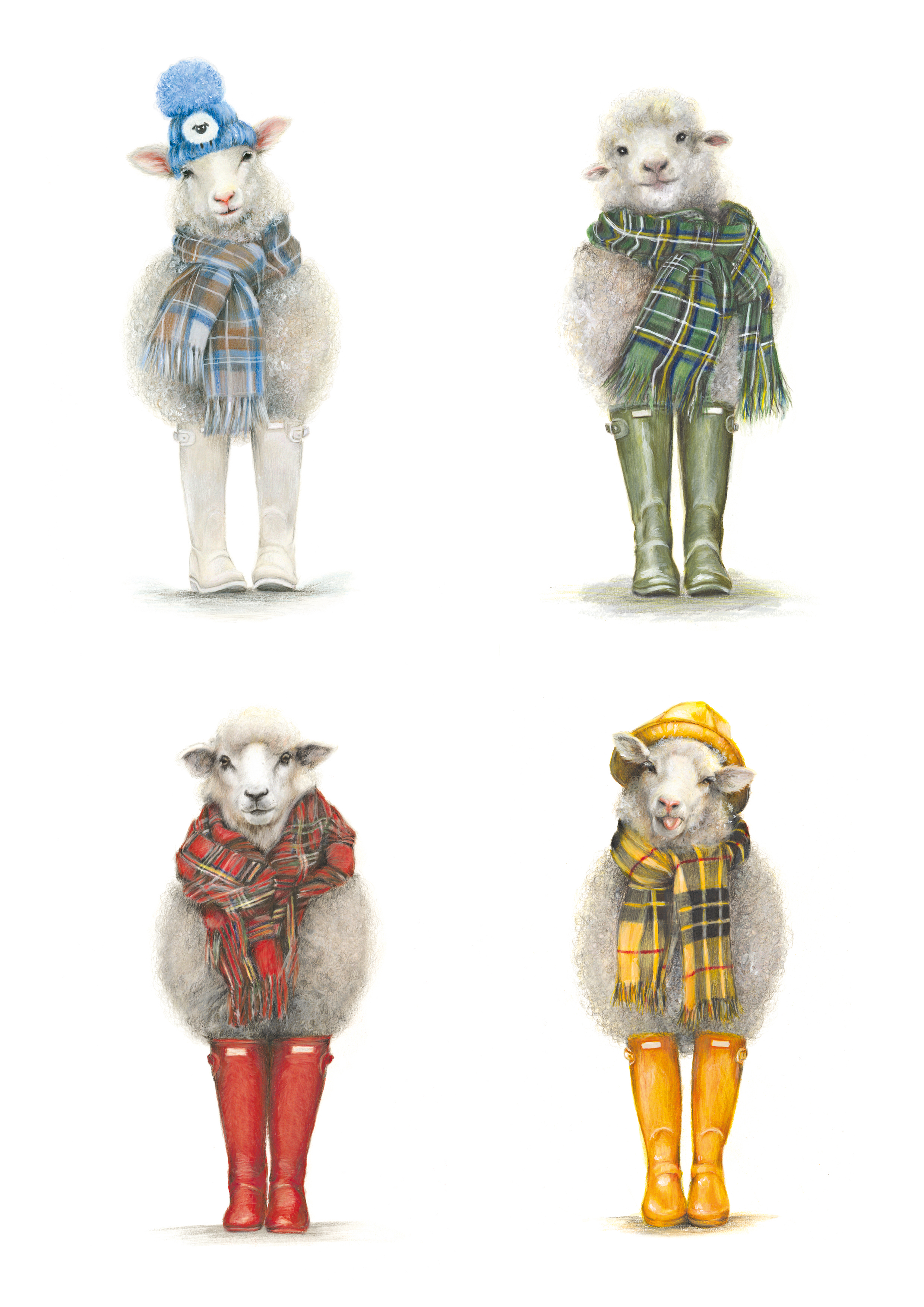 Farm Animals