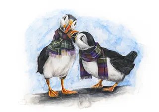 Birds